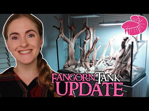 Fangorn Forest Aquascape! Hardscape Transfer Walkthrough, Light Panels, and Plant Selection