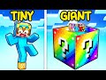 TINY vs GIANT Lucky Block in Minecraft!