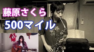 Sakura Fujiwara - 500 Miles (佐野さくら with 神代広平 Ver.) Alto Saxophone Cover