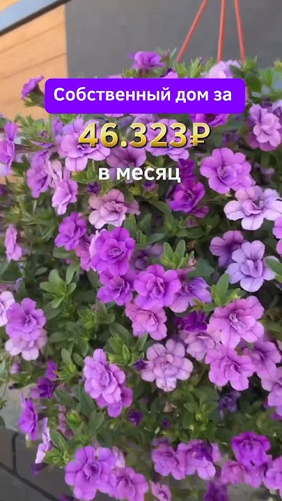 Отделка вайт-бокс. Цена дома с участком 10,8млн - YouTube