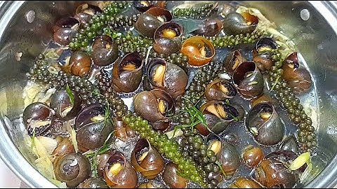 Cách làm ỐC BƯƠU LUỘC TIÊU XANH ngon không bị nhớt - Bếp Nhà Hoàng