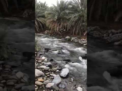 وادي فيض شناص