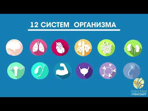 Анатомия человека. Анатомо функциональное строение человека.