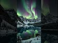 Deep Sleep in Seconds — Soft Clarinet Melody #shorts