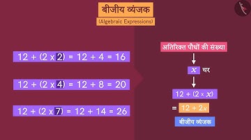 बीजीय व्यंजक | Part 1/3 | Algebraic expressions | Hindi | Class 8