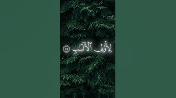اروع تلاوة تريح النفس شيرو بنية الاجر لي ولكم..#تلاوة_خاشعة