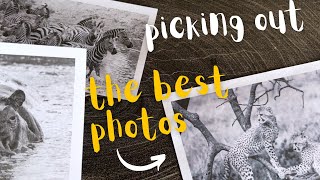 Selecting the Perfect Photos for a Luxury Tented Camp in Tanzania