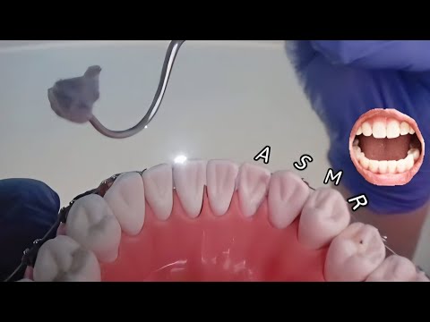 🦷 First Person Dental Roleplay_  1인칭 치과 상황극 ASMR_   一人称歯科ロールプレイ