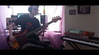 The Stranglers - Mean To Me (Bass Cover)