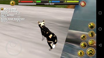 Stray cat simulator part 1