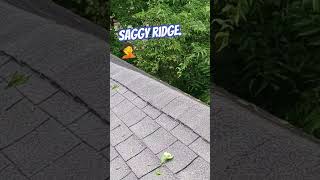 Saggy ridge #roof #inspection #diy #youtubeshorts#shortvideo #shorts #humor