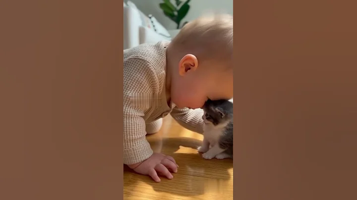 Cat Rests Open Paws on Sleeping Baby
