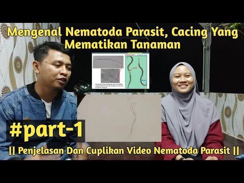 Video: Berapa lama nematoda bermanfaat hidup?