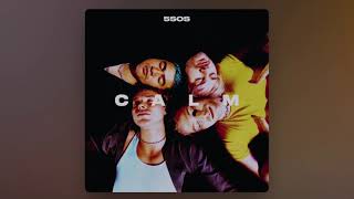 5SOS - Old Me (Official Clean Version) [Radio Edit]