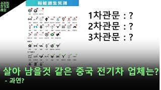 [Shuri]중국전기차 : 상하이 자동차?