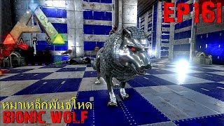 BGZ - ARK: Survival Evolved EP#161 หมาป่าเหล็กพันธ์ใหม่ Bionic Wolf