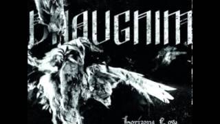 Draugnim - Shunned Wanderer