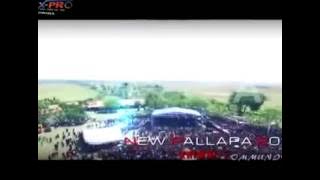 Kimcil Kepolen - New Pallapa Wiwik Sagita KRIWOL (Group Wolo Korea)