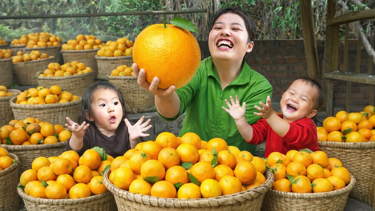 Harvesting giant oranges to sell at the market  - Cooking grilled pork for my two children to eat