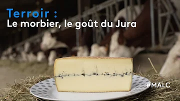 Comment est fait le fromage Morbier ?