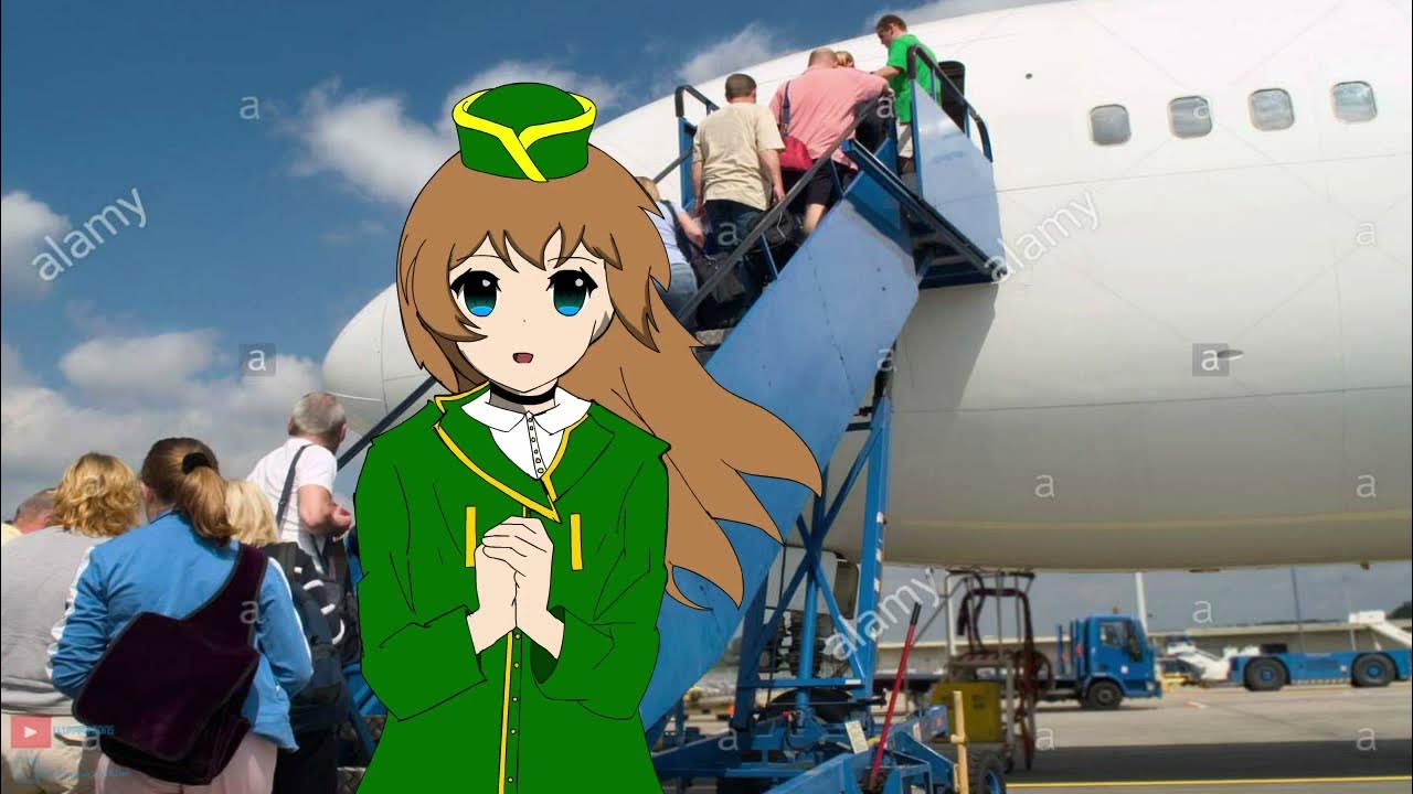 The burger king plane incident animated YouTube