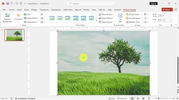 How to make a picture transparent in PowerPoint 2007
