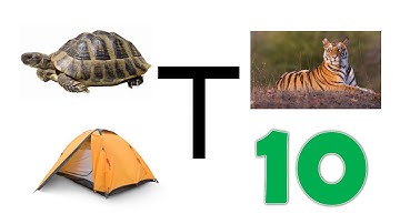 Letters with horizontal and vertical lines | Teacher Bunny