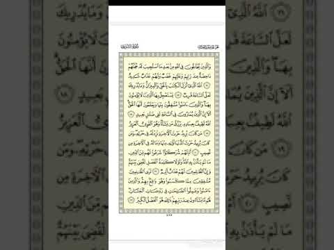 الجزء الخامس والعشرون من القرآن الكريم بصوت الشيخ ماهر المعيقلي
