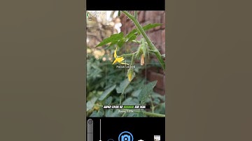 open camera photo quality