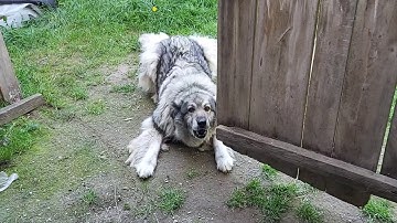 Reisvlog Kroatië - Deel 7 - Zondag