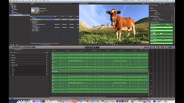 FCPX 10.1.3 Surround Sound Element Exports