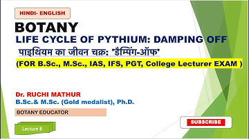 Pythium Life Cycle : Damping Off​ // Fungi // Botany // B. Sc. & M. Sc. (ENGLISH - HINDI)