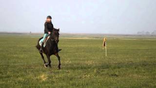 2015 Hubertusjagd Saal Fuchsjagd Der Kleinpferde