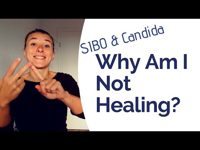 SIBO and Candida - 3 Reasons Why You Haven't Healed Yet
