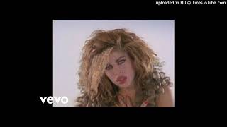 Taylor Dayne - Tell It to My Heart (mp3_256k)