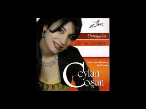 Ceylan Cosan bulamadım