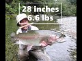 Xtreme tenkara trout fishing 28 in  66 lbs