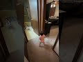 🤣🤣🤣🤣🤣🤣 Artificial Intelligent Baby Sitter #funny