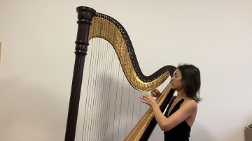 The Nutcracker ~ Tchaikovsky’s Harp Cadenza