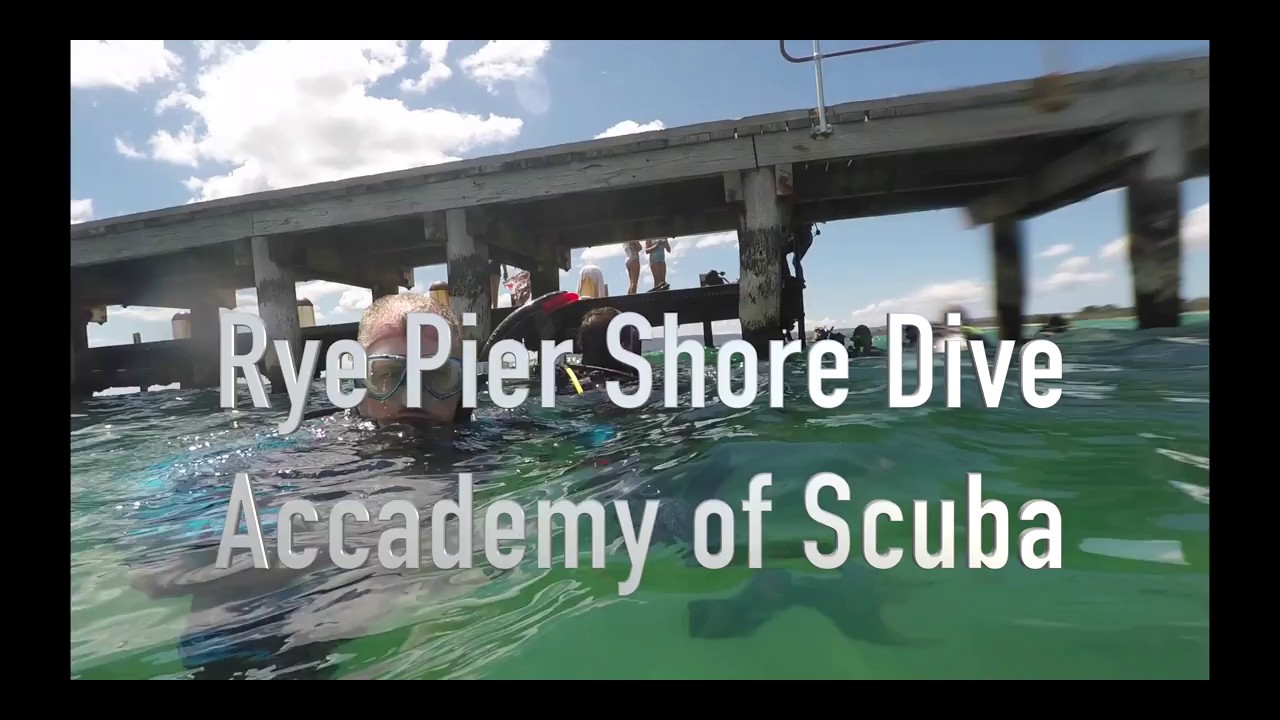 Rye Pier Shore Dive YouTube