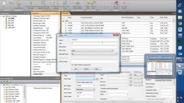 CADWorx Speceditor 2015. Adding Custom DATA
