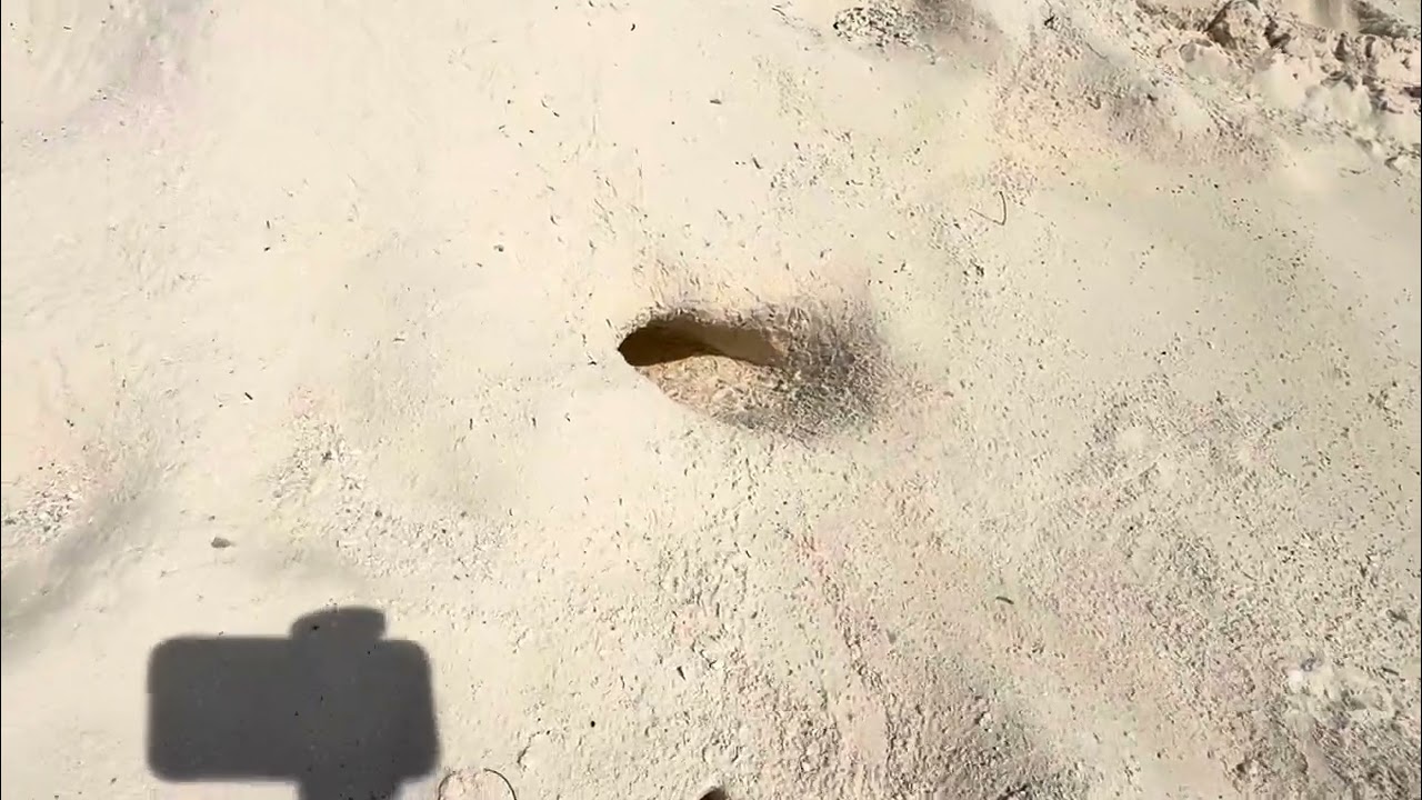 Ziyaaraifushi a walk at the beach (Summer Island MALDIVES)