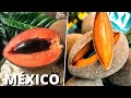 As 10 Frutas Mais INCRÍVEIS e DIFERENTES Nativas do MÉXICO