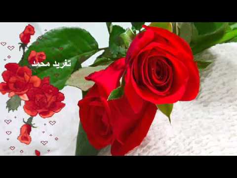 عثمان الشفيع الشباب النضير تغريد محمد