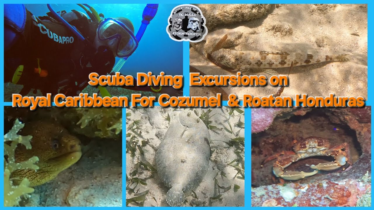 Scuba Diving Excursions on Royal Caribbean For Cozumel & Roatan ...