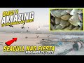 KAKAIBA NGAYONG ARAW SA MANILA BAY|ANG DAMING SEAGULL