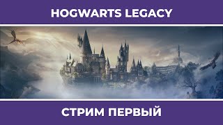 Натаха и философский камень | Hogwarts Legacy #1 (06.02.2023)