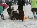 Air crash In the comores island caused by hijackers