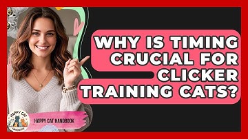 Why Is Timing Crucial For Clicker Training Cats? - Happy Cat Handbook