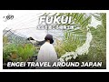 【福井県】太古を感じるビザールジャングルへ|アガベ/塊根植物|TREE VALLEY SABAE/Fukui Palm/17 BOTANICAL BASE|【園芸日本一周:vol22】
